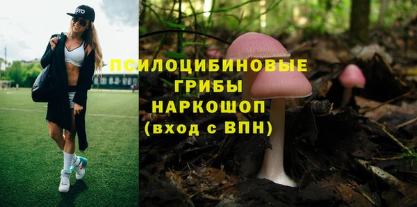гашик Верхнеуральск