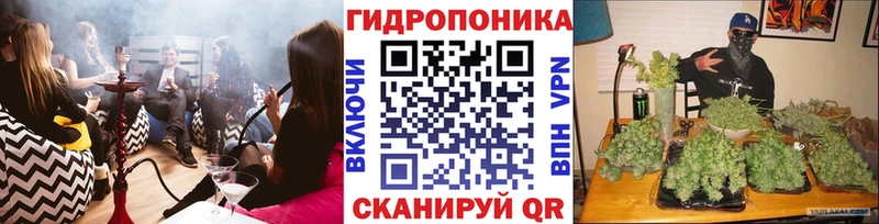 Марихуана сатива  Льгов 